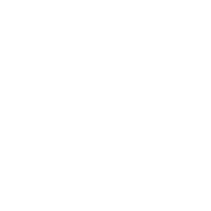 PanAm Logo